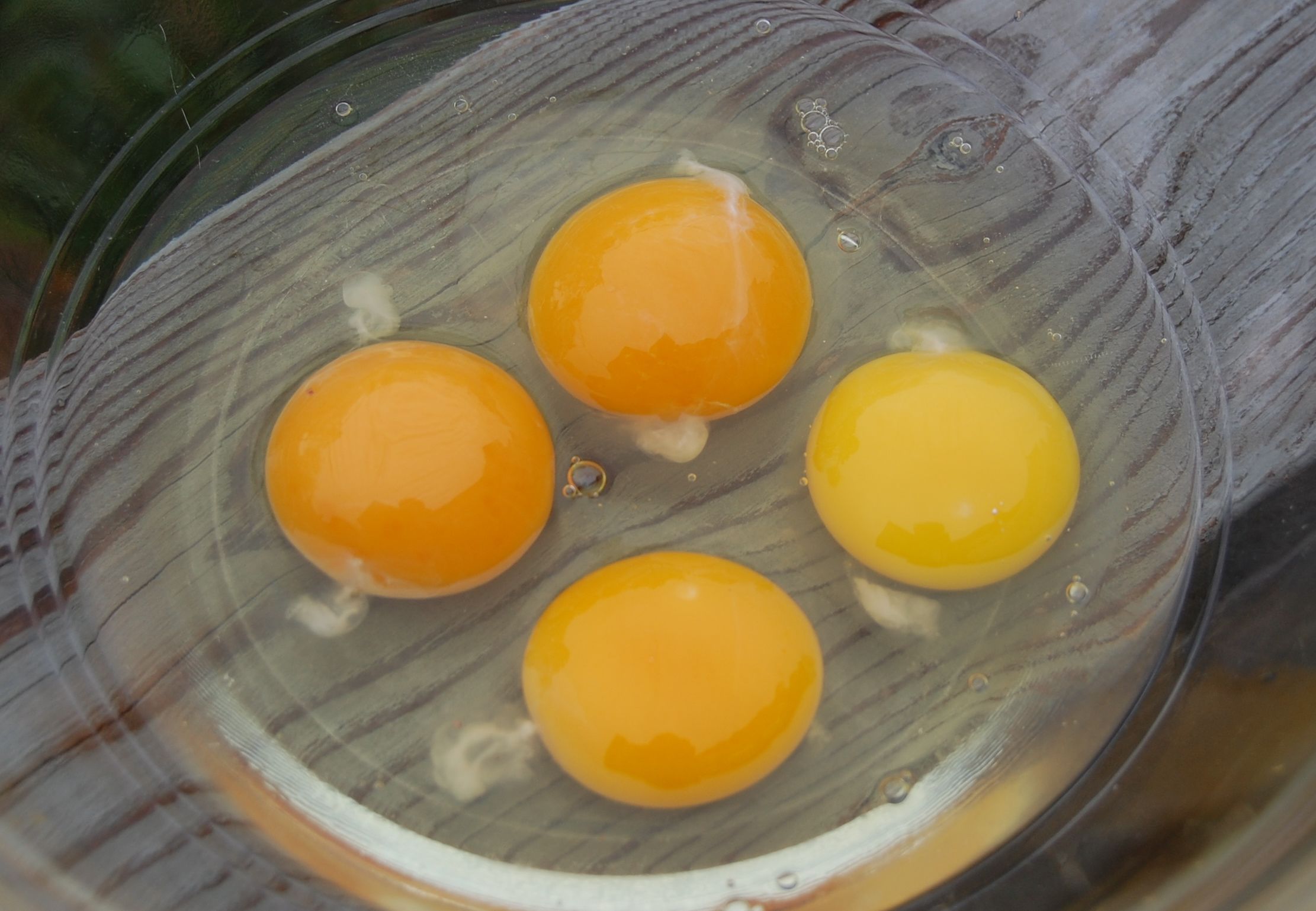 Почему яйца жидкие. Белок и желток. Халазы в курином яйце. Сырое яйцо. Сырое куриное яйцо.